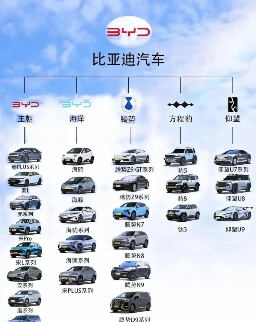 汽車人茍活的這半年